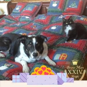 Meet your Posher, Alena